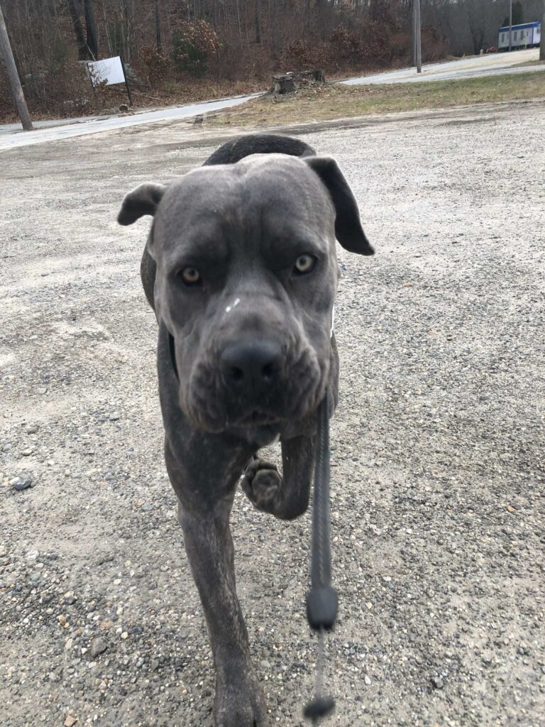 Stella Success Stories