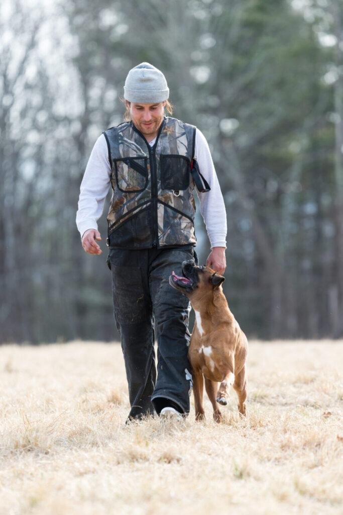 Derrike Lacross training a Boxer in Greene, Rhode Island field during an obedience session.