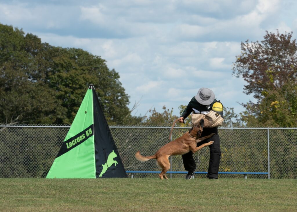 Derrike Lacross working a protection-trained dog on the field during a Lacross K9 Training session in Rhode Island.