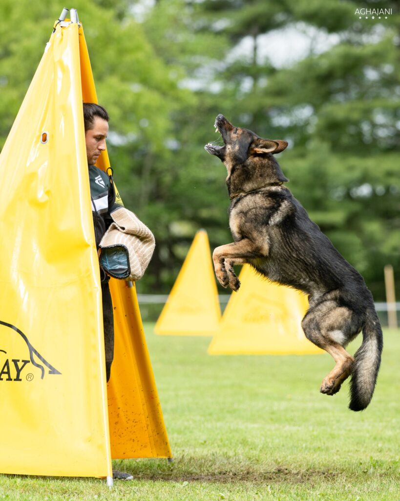 Derrike Lacross & Kayak vom Evolution. 2025 AWDF National Championship. Spencer, MA USA